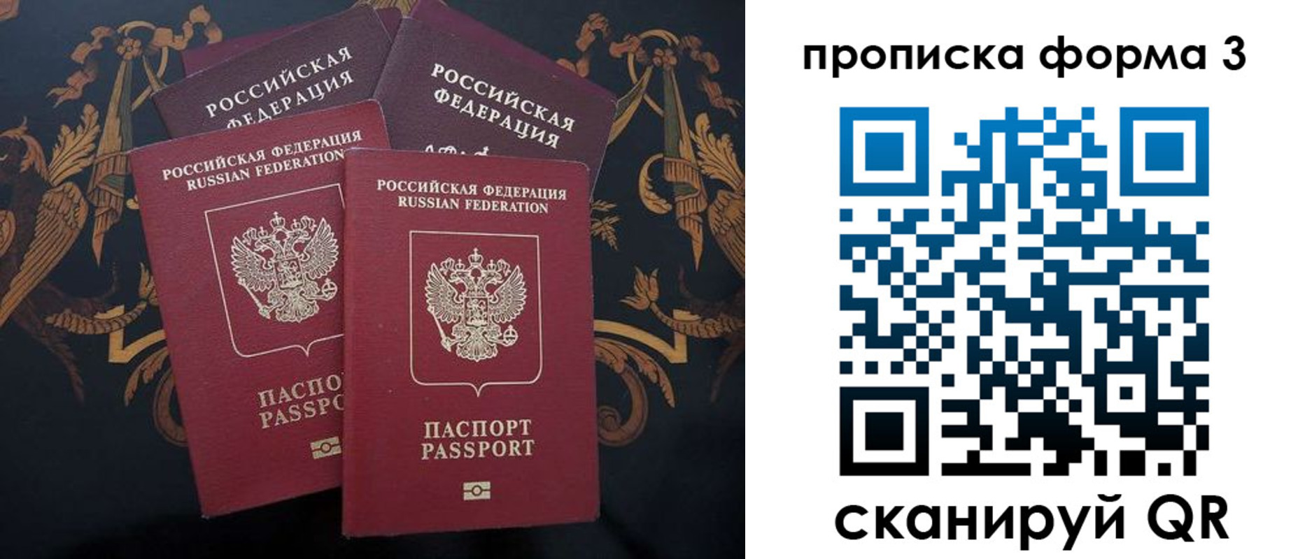 прописка законно в Щёкино
